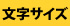 文字サイズ