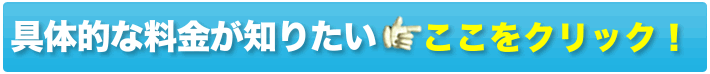 具体的な料金が知りたい